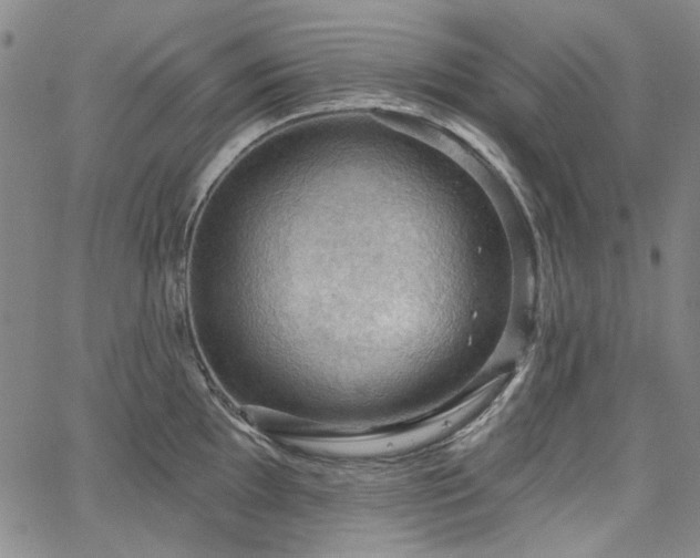 X0000064741097200602101141