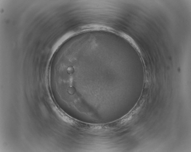 X0000064741098200602101141