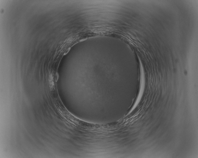 X0000064741106200602101141