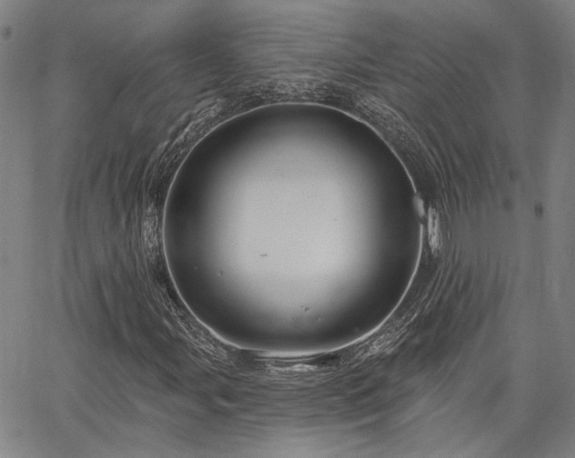 X0000064741107200602101141