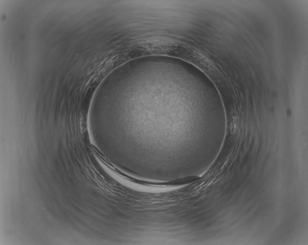 X0000064741108200602101141