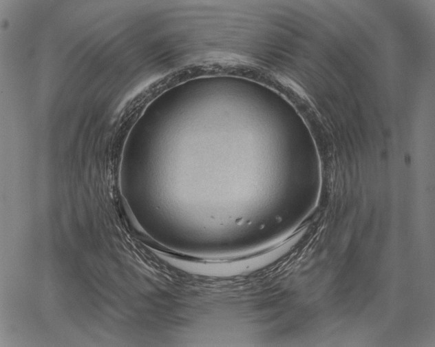 X0000064741112200602101141