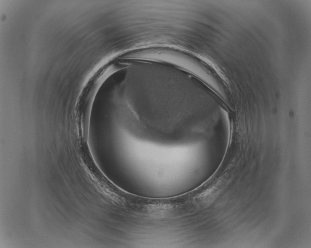 X0000064741118200602101141