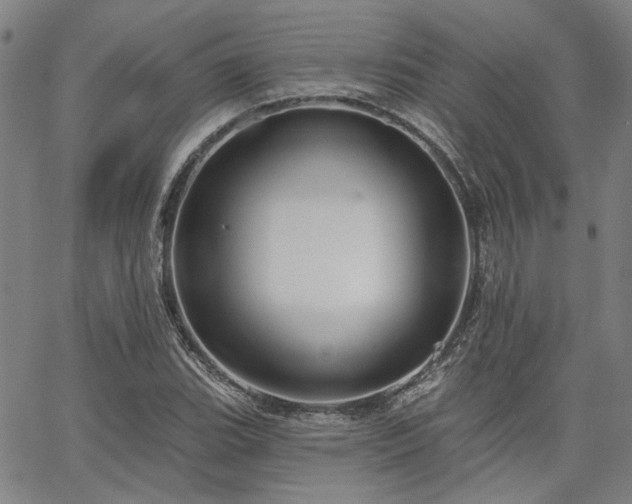 X0000064741119200602101141