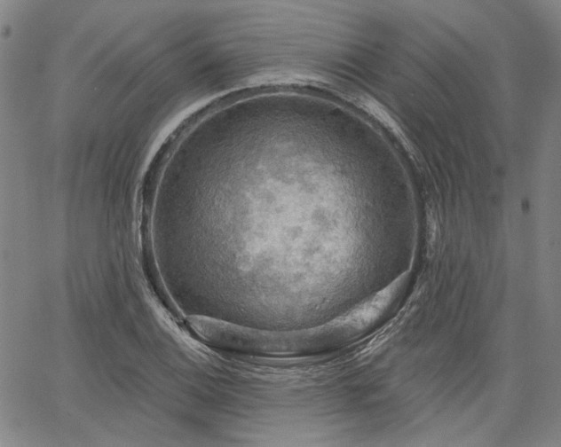 X0000064741124200602101141