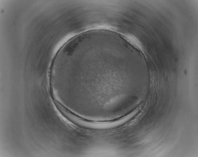 X0000064741151200602101141