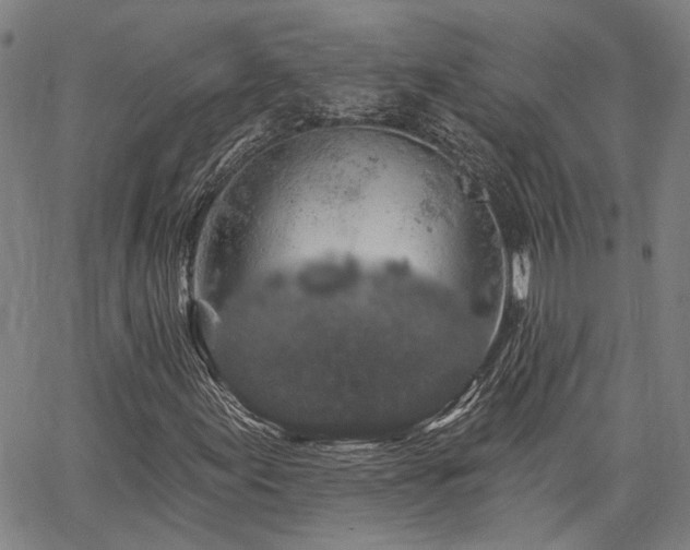 X0000064741155200602101140