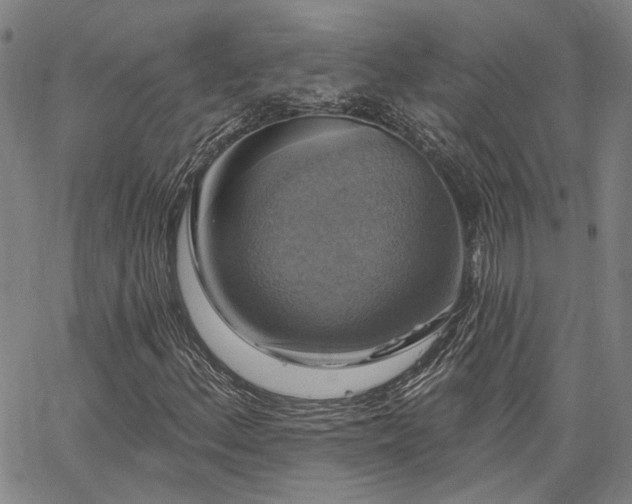 X0000064741156200602101140