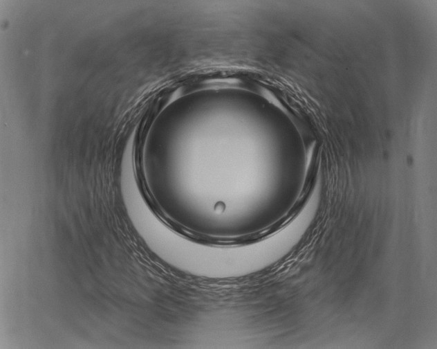 X0000064741157200602101140