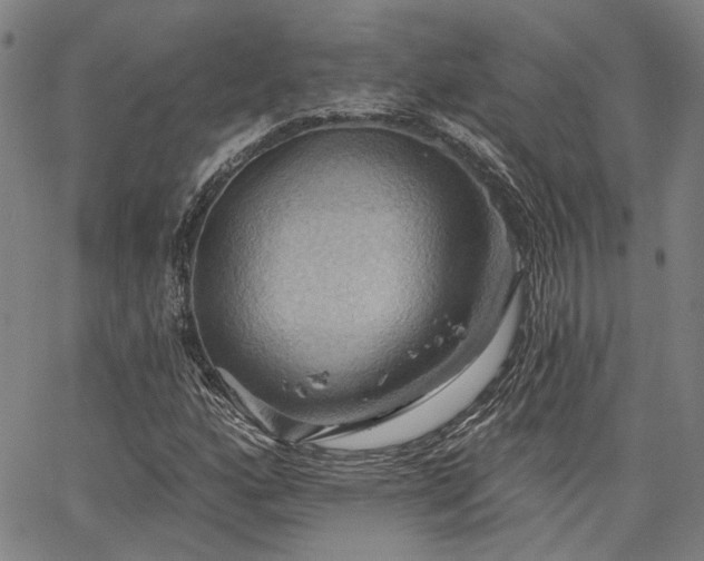 X0000064741160200602101140