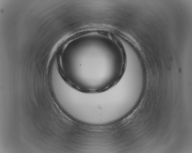 X0000064741172200602101140