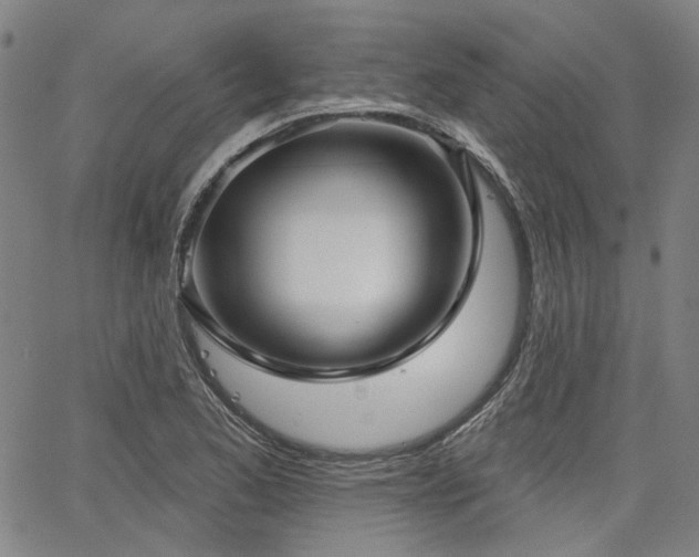 X0000064741173200602101140