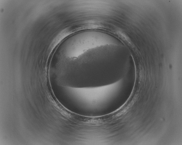 X0000064741178200602101140