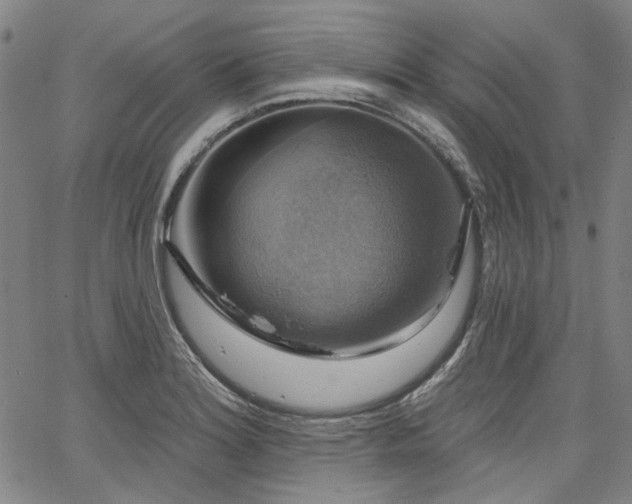 X0000064741180200602101140