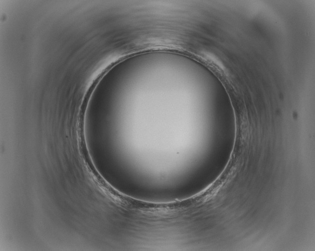 X0000064741182200602101140
