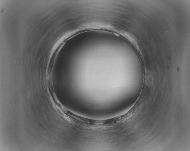 X0000064741191200602101140