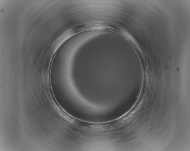 X0000064741194200602101140