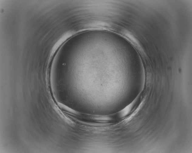 X0000064741196200602101140