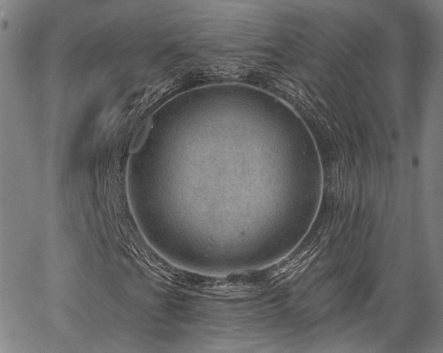 X0000064741201200602101139