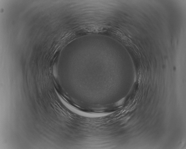 X0000064741202200602101139