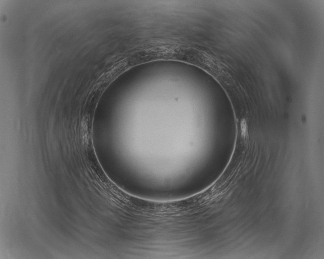 X0000064741203200602101139