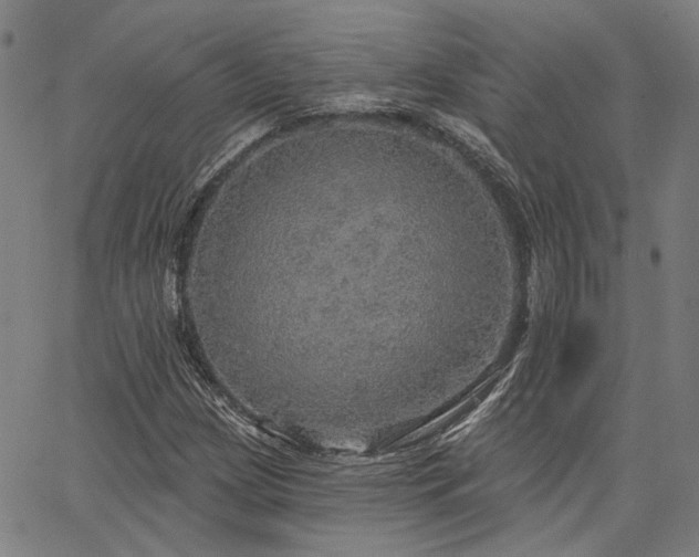 X0000064741209200602101139