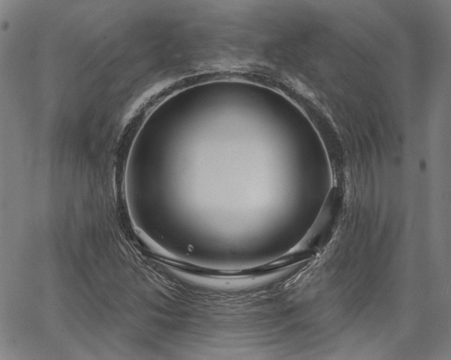 X0000064741214200602101139