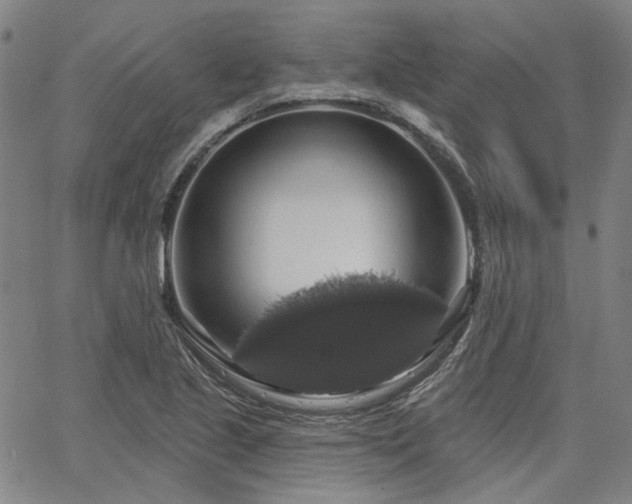 X0000064741221200602101139