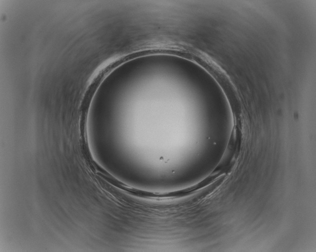 X0000064741222200602101139