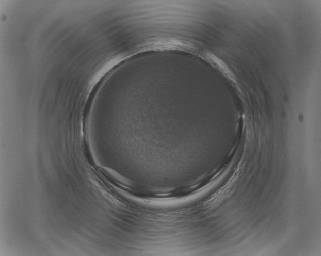 X0000064741226200602101139