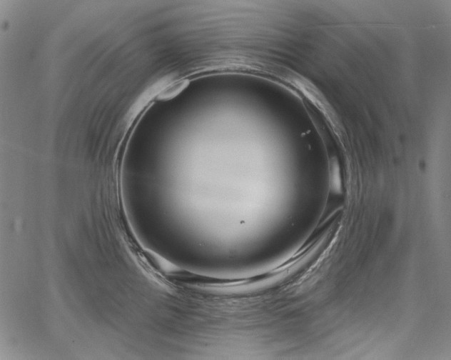 X0000064741242200602101140
