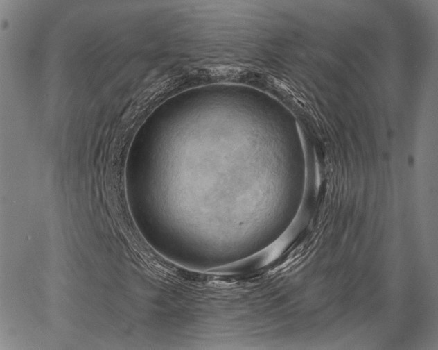 X0000064741249200602101139