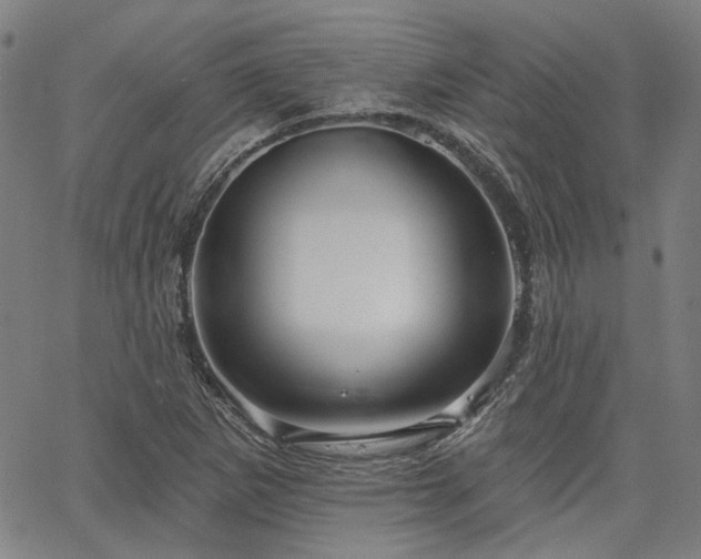 X0000064741265200602101139