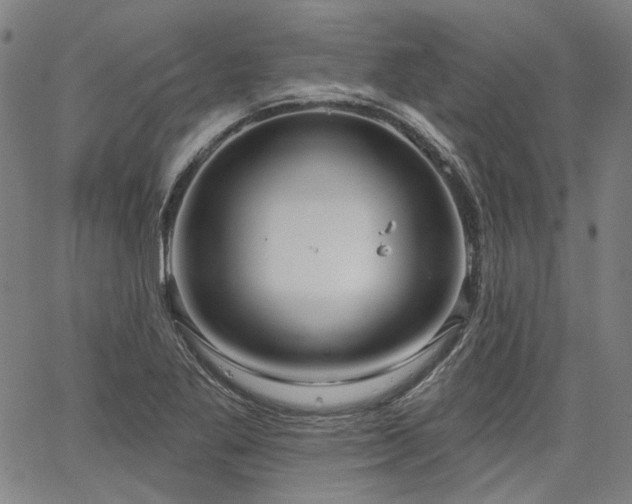 X0000064741269200602101139