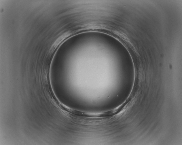 X0000064741273200602101139