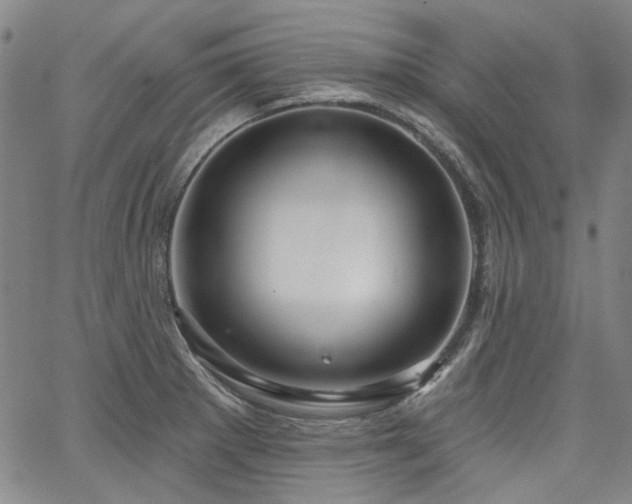 X0000064741281200602101138