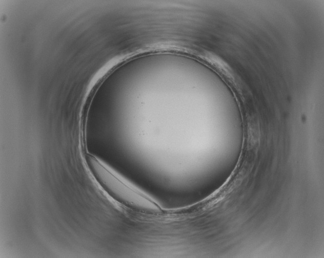 X0000064741286200602101138