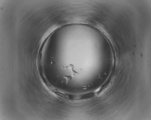 X0000064741293200602101138