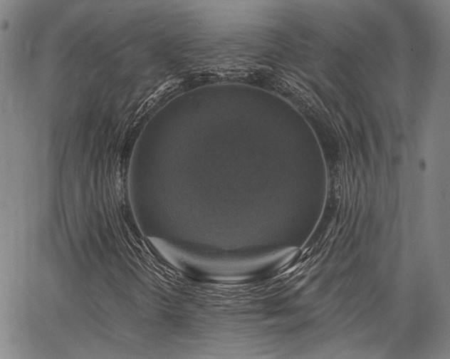 X0000064741298200602101137