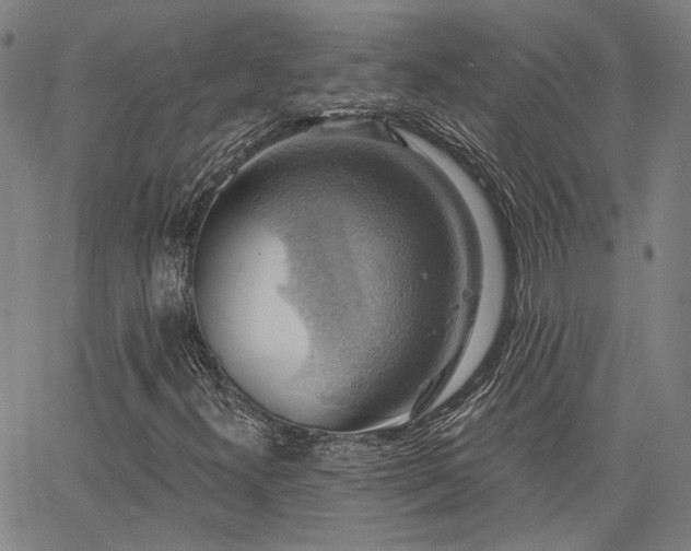X0000064741300200602101137