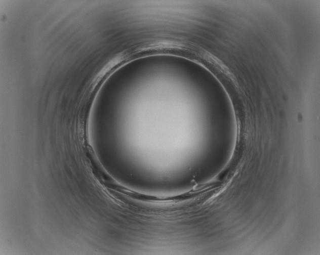 X0000064741321200602101138