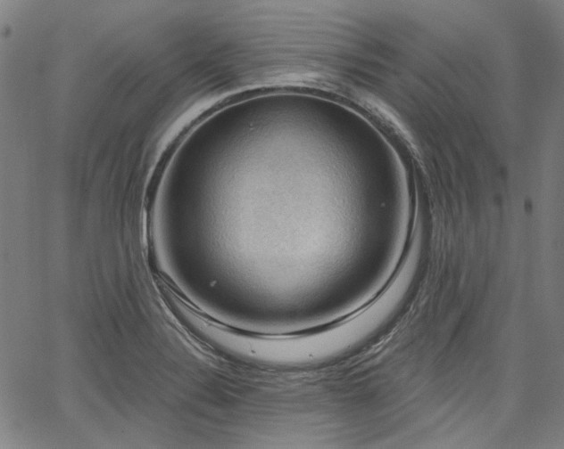 X0000064741324200602101138