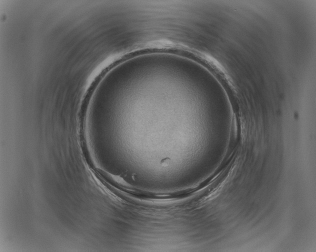 X0000064741326200602101138