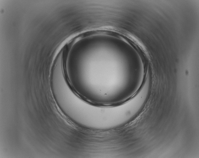 X0000064741332200602101138