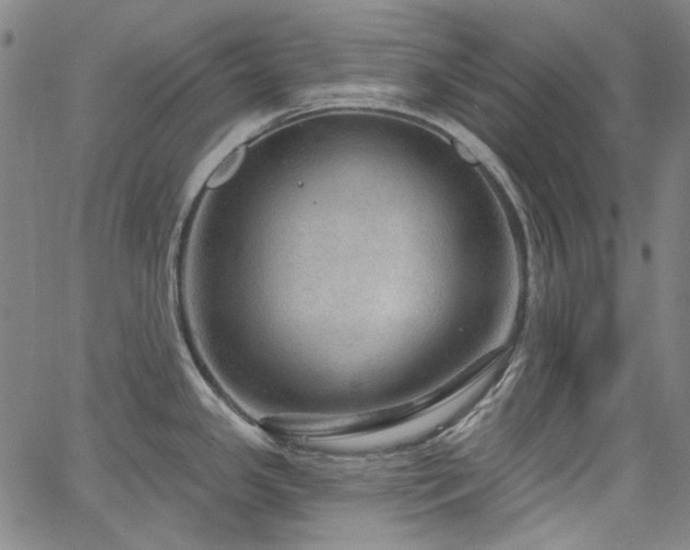 X0000064741341200602101138