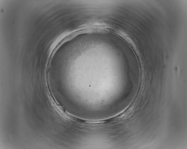 X0000064741344200602101138