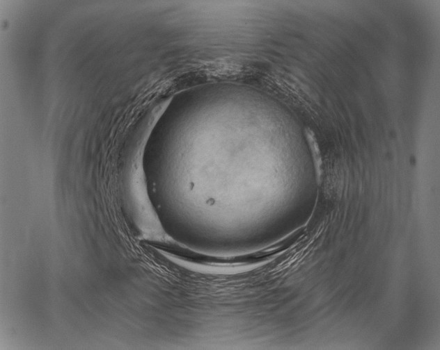 X0000064741345200602101137