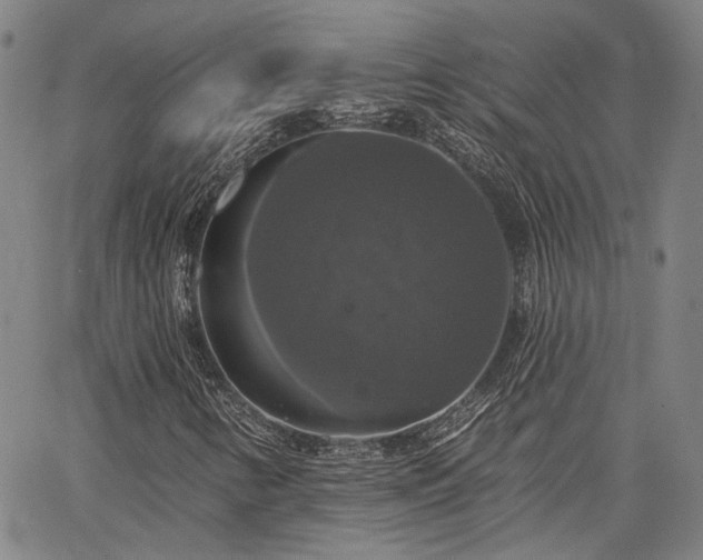 X0000064741346200602101137