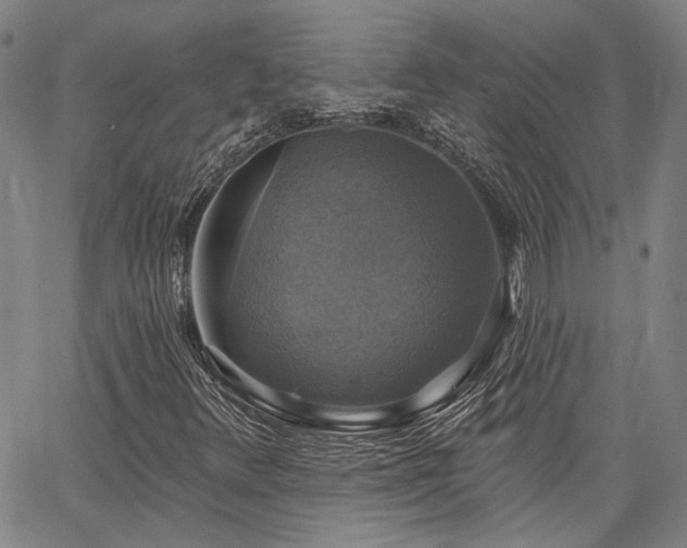 X0000064741348200602101137