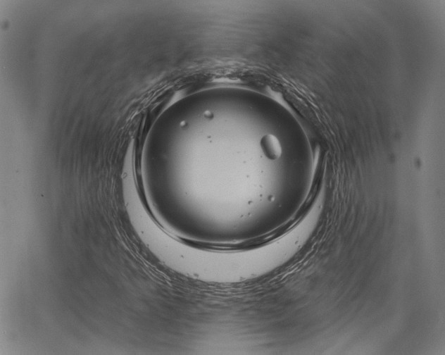 X0000064741349200602101137